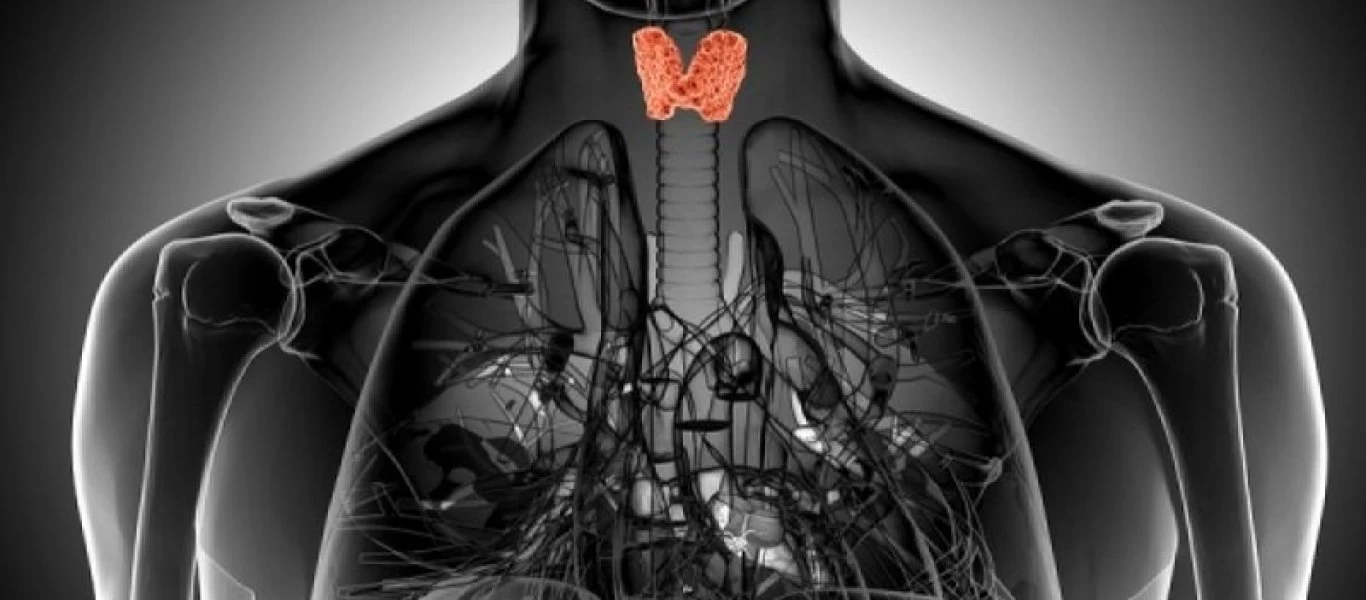 Θυρεοειδής: Το πρωινό σημάδι που δείχνει ότι ίσως έχεις πρόβλημα